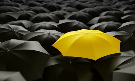 Mastering Influencer Campaigns for Brands